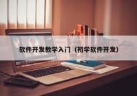 软件开发教学入门（初学软件开发）