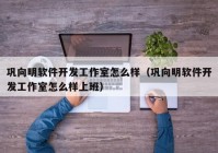 巩向明软件开发工作室怎么样（巩向明软件开发工作室怎么样上班）